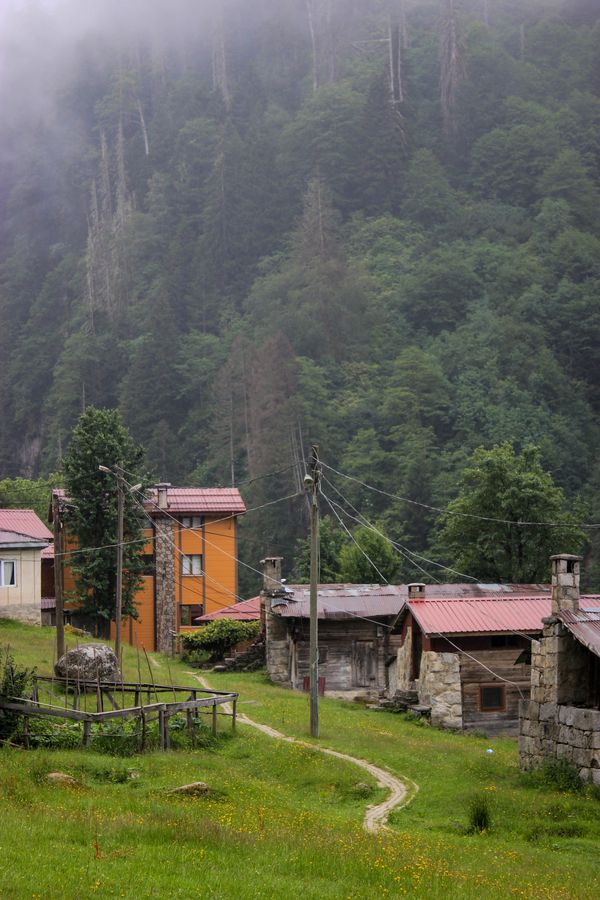 luxury cottages Borjomi